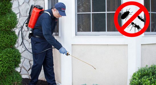 Reşadiye Akrep İlaçlama böcek ilaçlama ve haşere kontrolü — ilaclama-tr.com